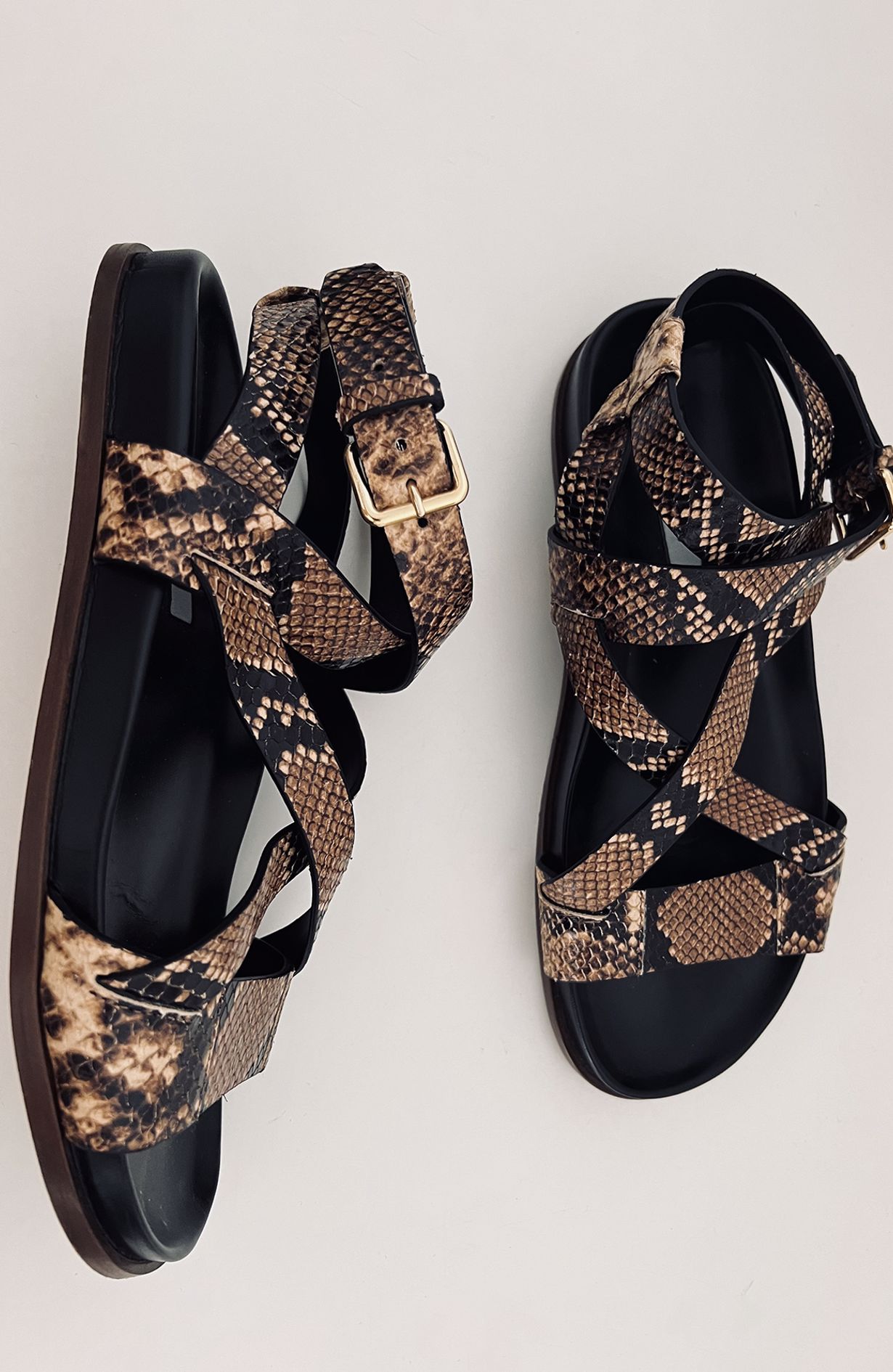 Emme Parsons Snake Sandals - Size 40